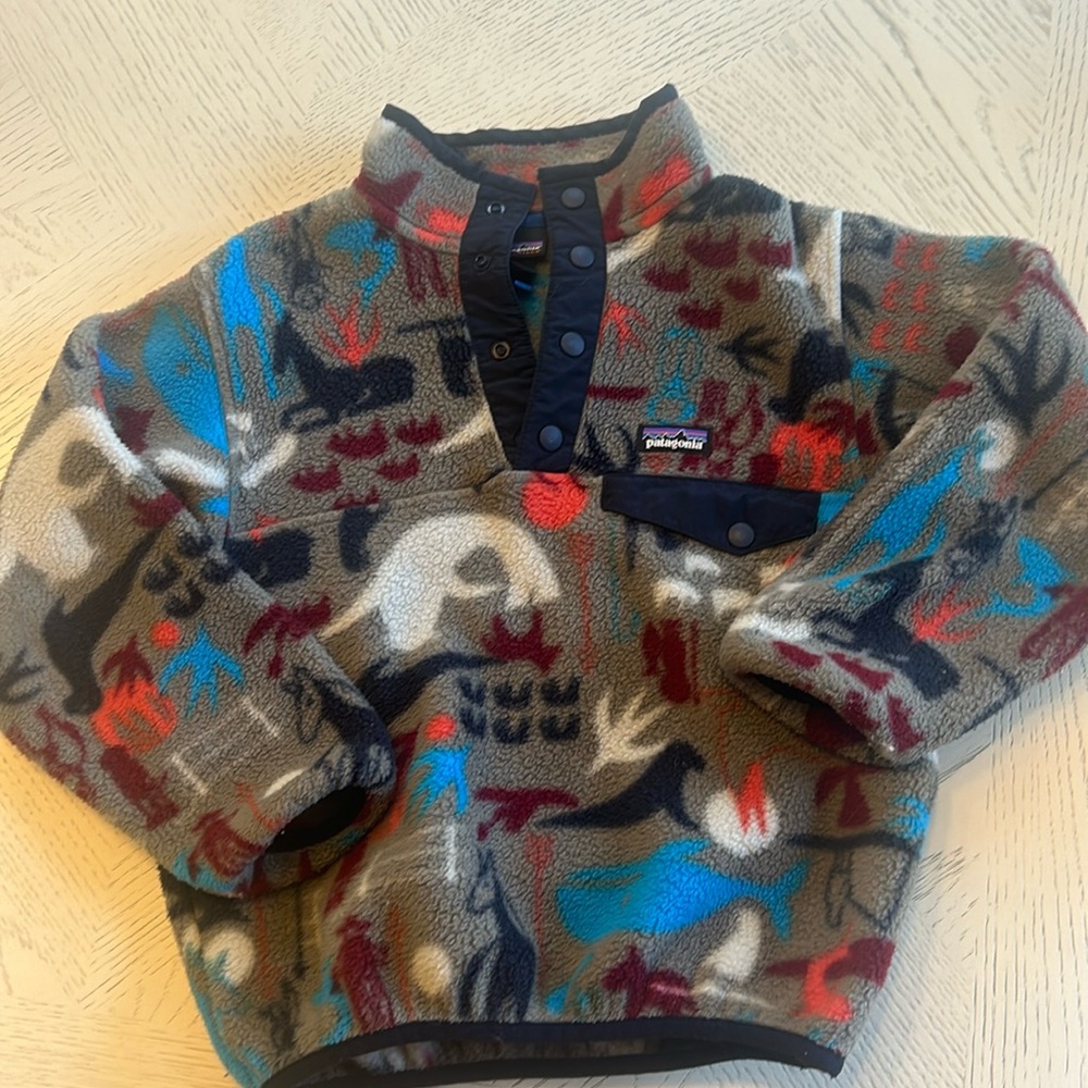 Patagonia fleece
